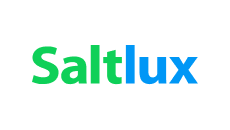 Logo 13